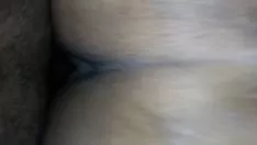 播放 巴克
