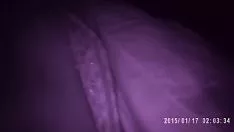 Abspielen (2) lustige Blätter