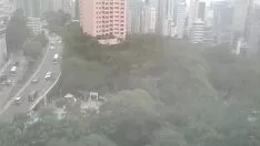 播放 保姆