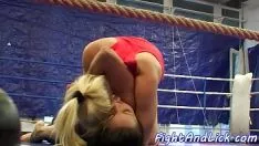 تشغيل Moderatetit يتصارع lezzie قطة مهزومة بشكل جيد