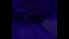 Oynat Ben ve güzel bir kedicikle şampiyonuz