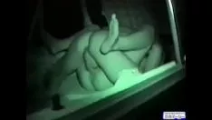 Oynat güzel nox
