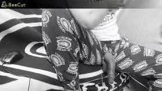 চালান চসেনরো এইচএফও বড় শশায়