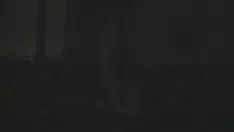 Odtwórz Nox nocny seks