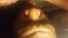 Reproduzir Batedor do mundo e magro (um nox no paraíso)
