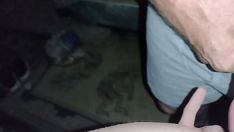 Riproduci Ashley e desiderio