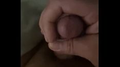 চালান মিষ্টি দুধের নদী
