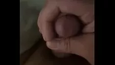 চালান মিষ্টি দুধের নদী