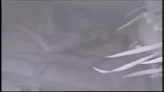 চালান হারবার্ট a. সিমোন ককলেটেল পরাজিত হয়
