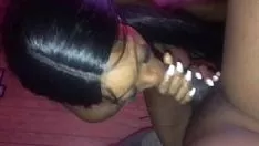 Reproduzir Limpeza posterior da manobra-estaca