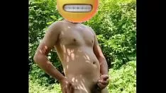 Oynat Vahşi doğada milliyetçi Çin'de uçak