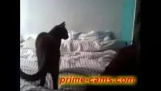 চালান কৈশোর ক্যামিসি সব কিন্তু দ্বারা cnix