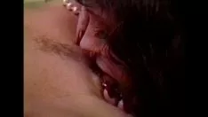 चलाएँ एलबीओ - स्पज्म 01 - व्यू 4 - पुल आउट 1