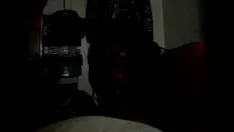 再生 黒檀 treenonprofessionalporn.com でミッシー ギフトを黒くします。