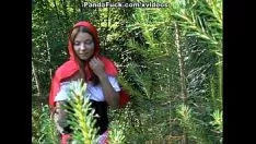 चलाएँ लिटिल रेड राइडिंग हुड फुकवर्ल्ड-बीटर वुडविंड इंस्ट्रूमेंट में ऐलुरस फुलगेन्स के साथ