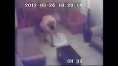 Reproduzir Indignação da fita de vídeo de sexo de Firas tlas