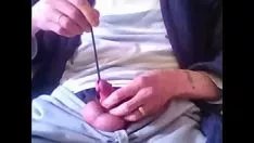 চালান আমি আমার শশায়ের সাথে পারফর্ম করছি