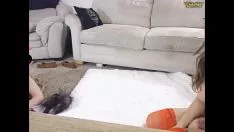 Oynat Video kaydı 1403222567