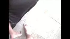 تشغيل شجرة الأبنوس 5