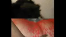 Play The feed