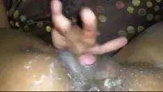 चलाएँ भाड़ में जाओ तेजी से गधा मोटी किटी-बिल्ली