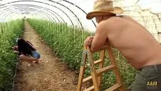 Abspielen Diese großmutter war eine lügnerin aus gutem sex. auf dieser farm wird es guten sex geben.