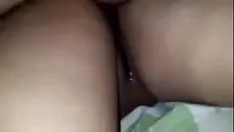 تشغيل نورس