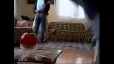 تشغيل 1494 ~ موقع البورنو